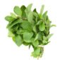 Dried Scent Leaf 200G