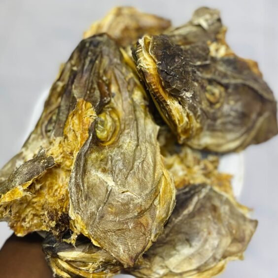 WhatsApp Image 2025 11 21 at 11.17.48 564x564