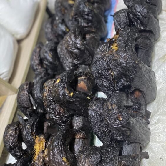 WhatsApp Image 2025 11 21 at 12.31.47 e1763724792401 564x564